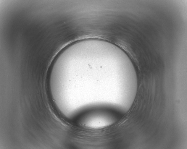 X0000066940156200603240943