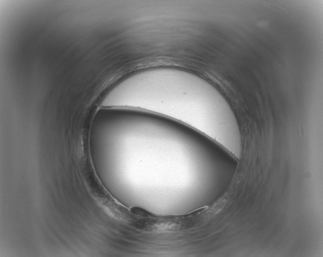 X0000066940158200603240943