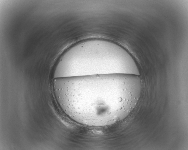 X0000066940159200603240943