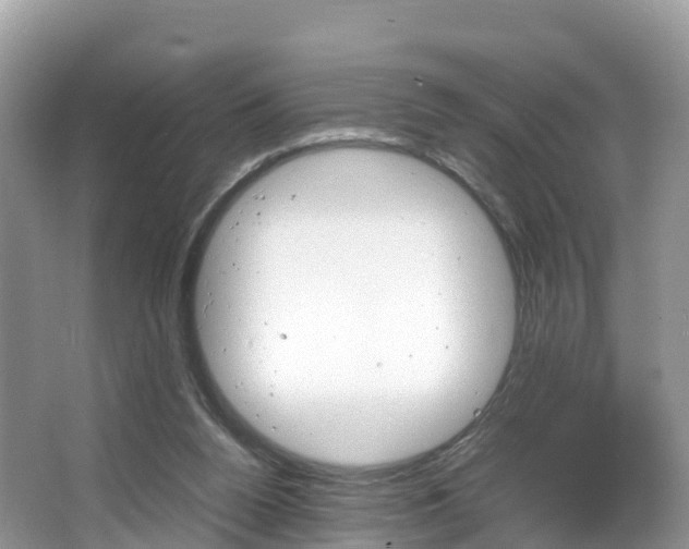 X0000066940160200603240943