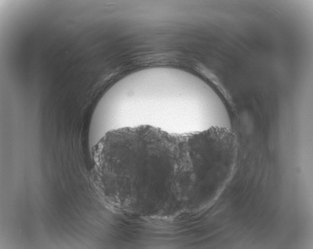 X0000066940161200603240944