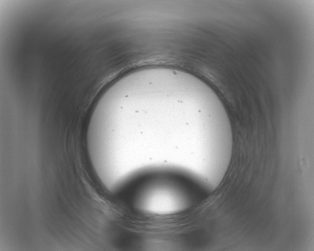 X0000066940164200603240944