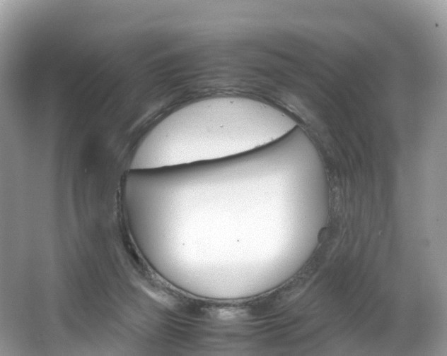 X0000066940165200603240944