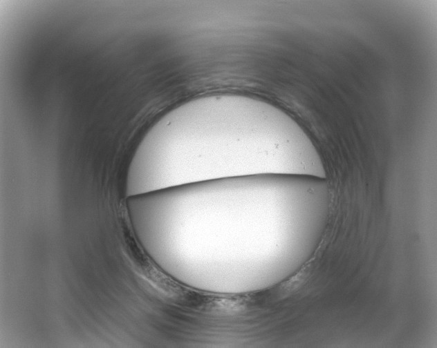 X0000066940166200603240944