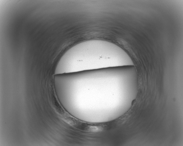 X0000066940167200603240944