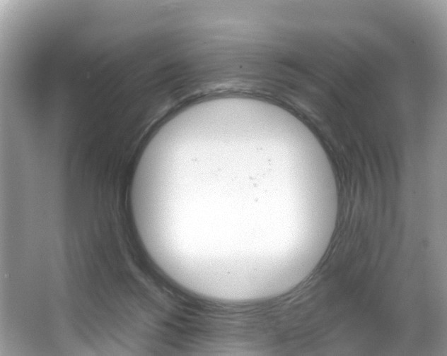 X0000066940168200603240944