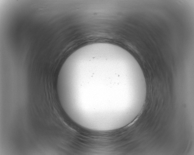 X0000066940170200603240944