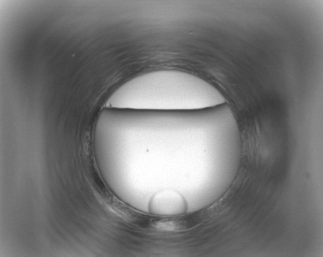 X0000066940171200603240944