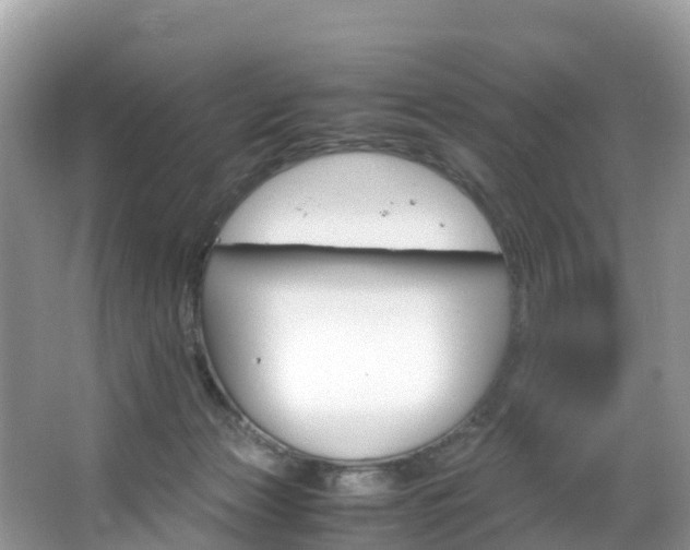 X0000066940173200603240944