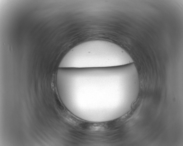 X0000066940175200603240944