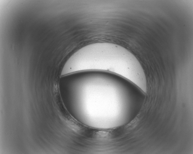 X0000066940176200603240944