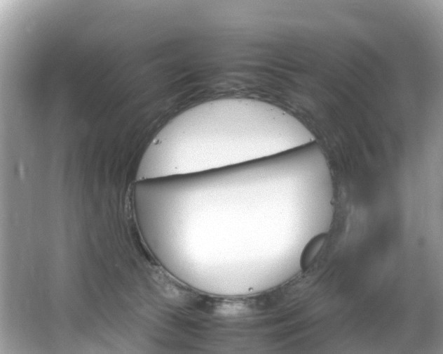 X0000066940177200603240944