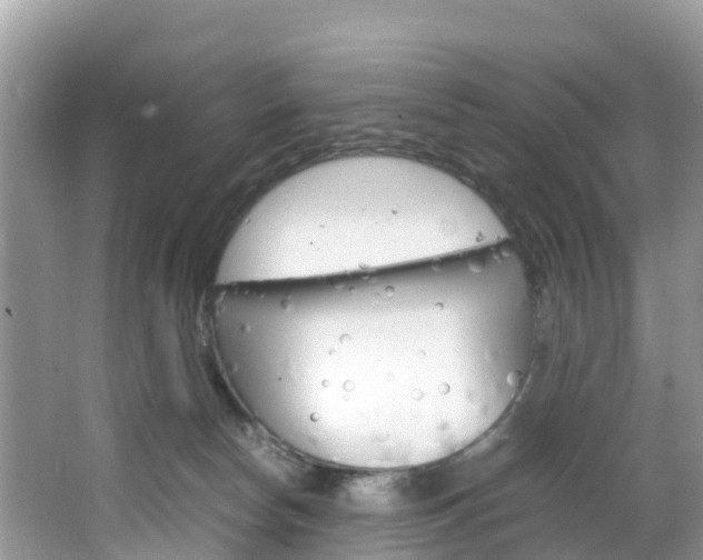 X0000066940178200603240944