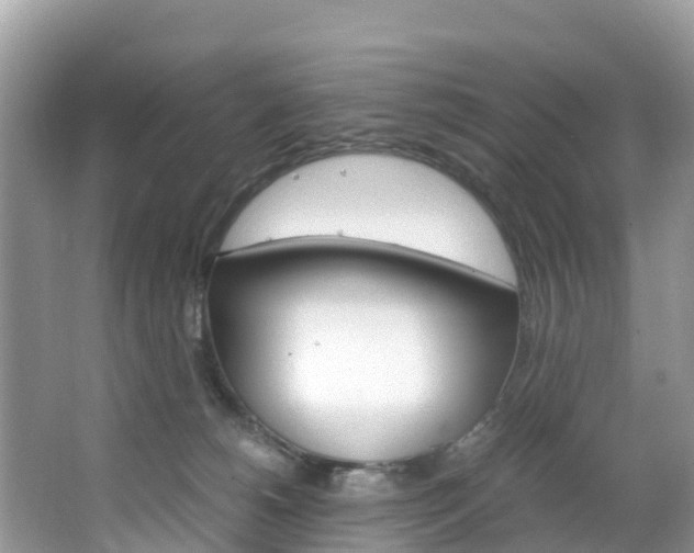 X0000066940180200603240944