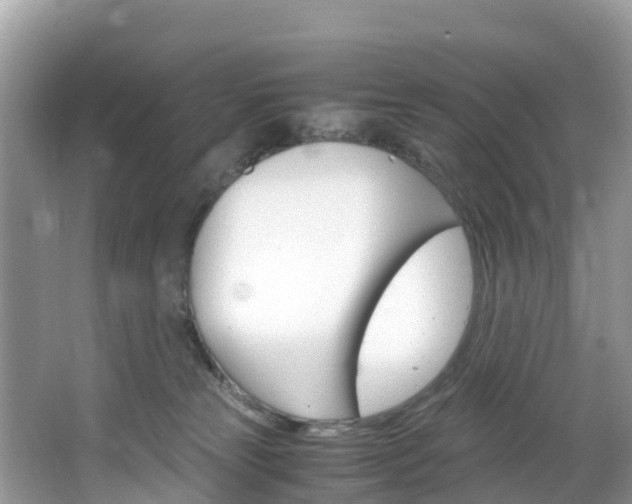 X0000066940181200603240944