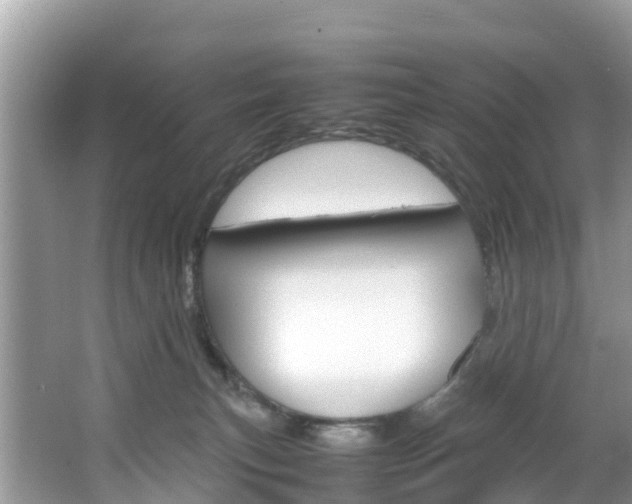 X0000066940183200603240944