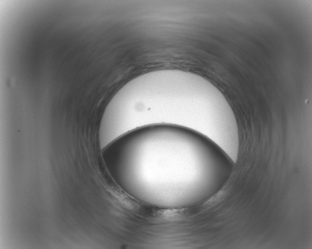 X0000066940184200603240944