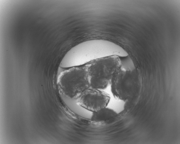 X0000066940185200603240944