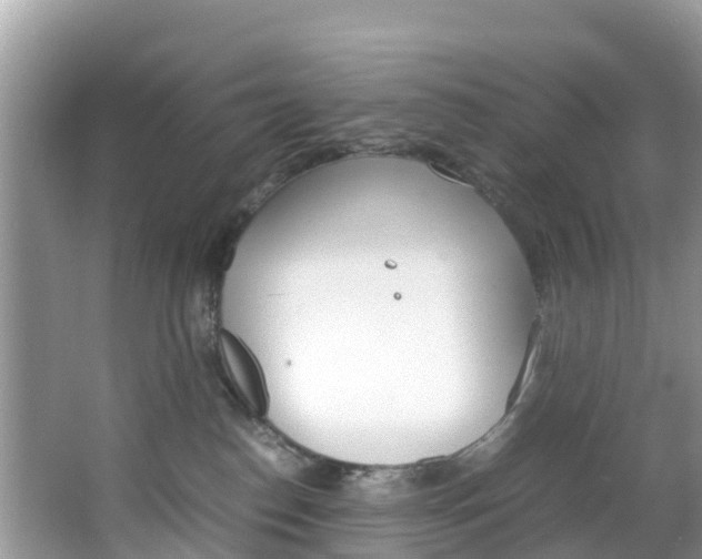 X0000066940186200603240944