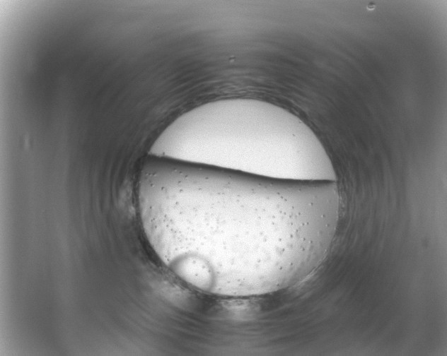 X0000066940187200603240944