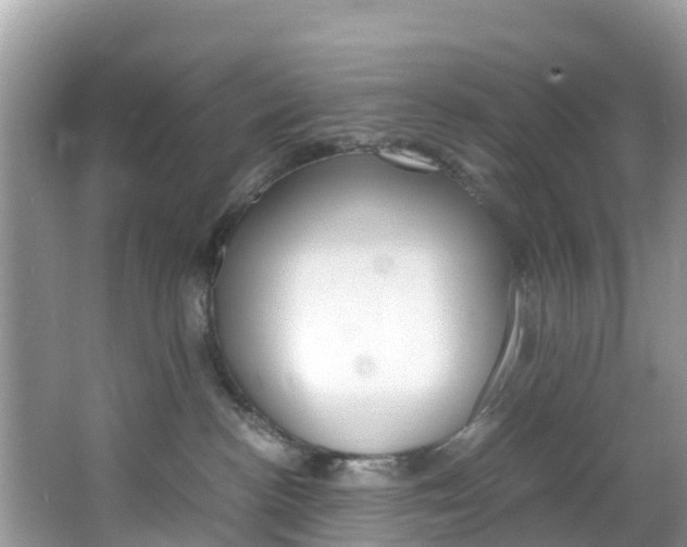 X0000066940188200603240944