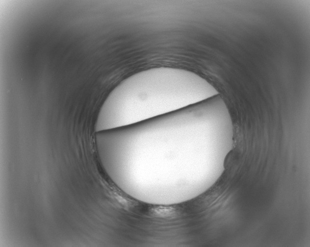 X0000066940189200603240944