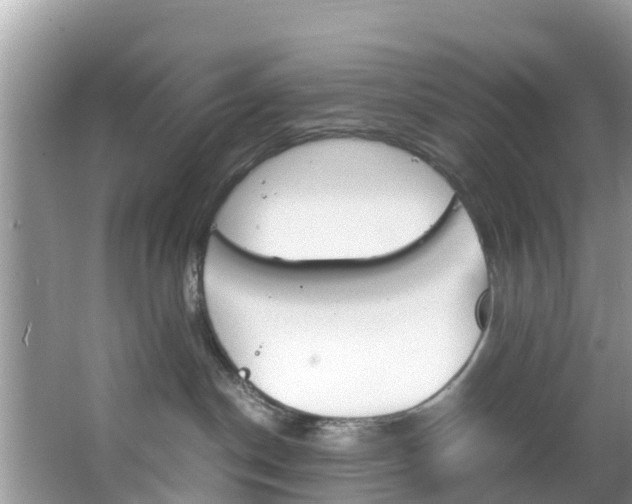 X0000066940190200603240944