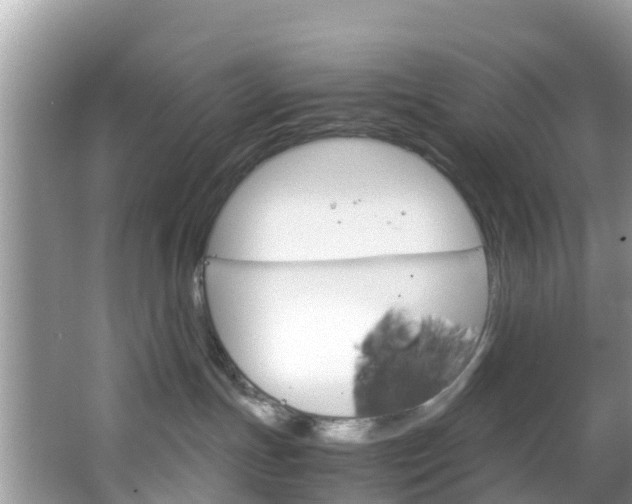 X0000066940191200603240944