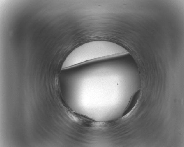 X0000066940192200603240944