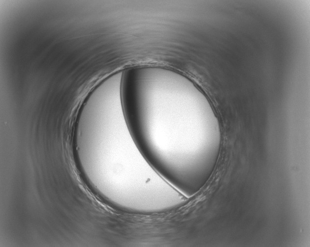 X0000066940193200603240943