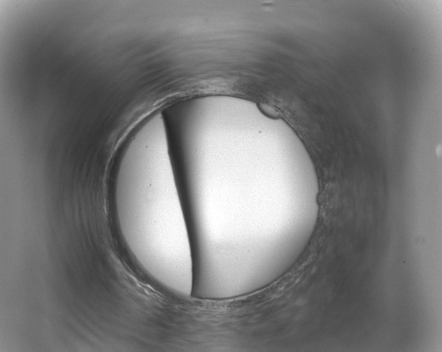 X0000066940194200603240943