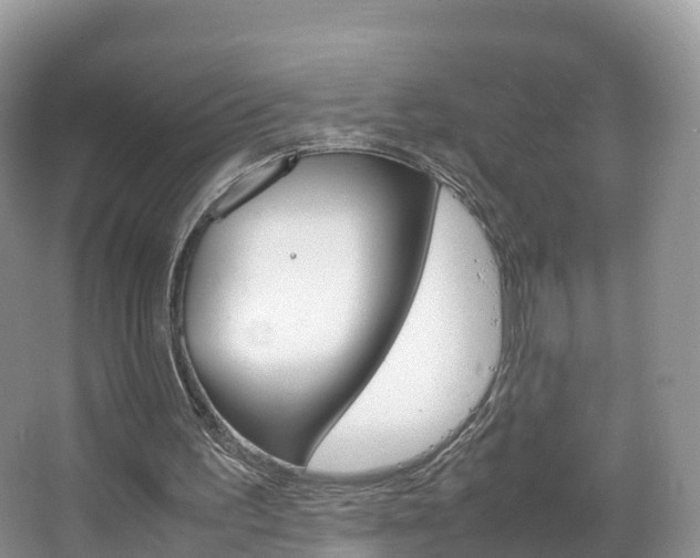 X0000066940195200603240943