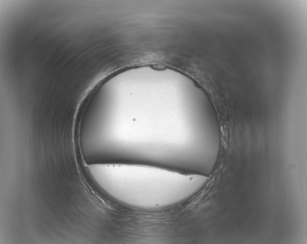 X0000066940196200603240943