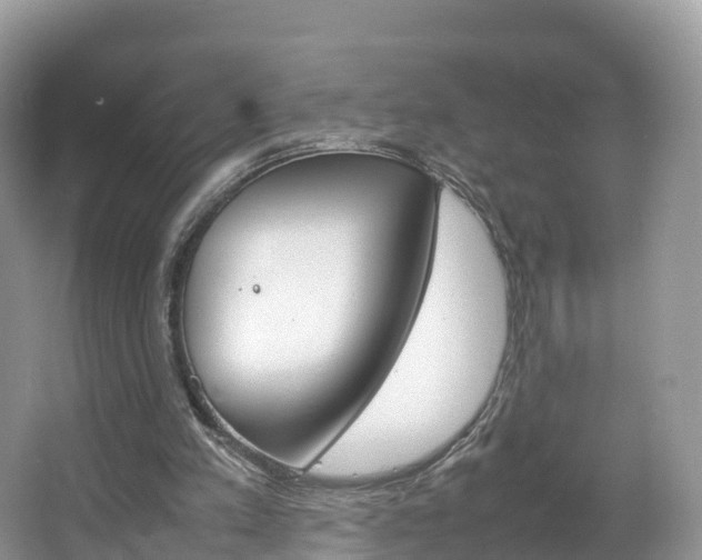 X0000066940197200603240943