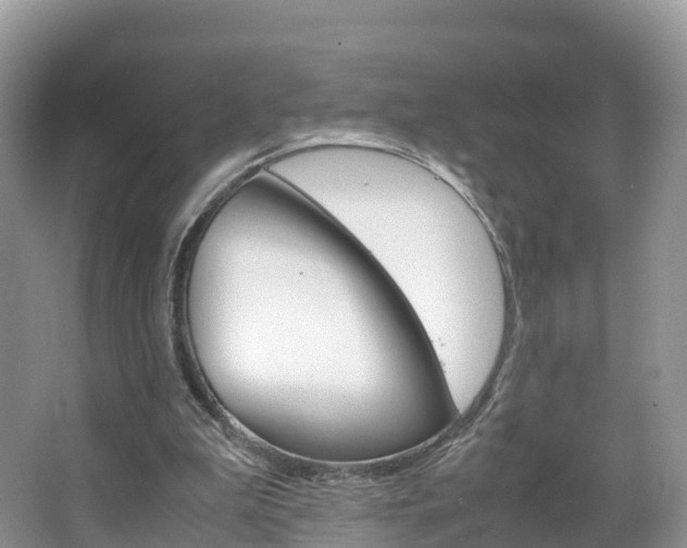 X0000066940199200603240943