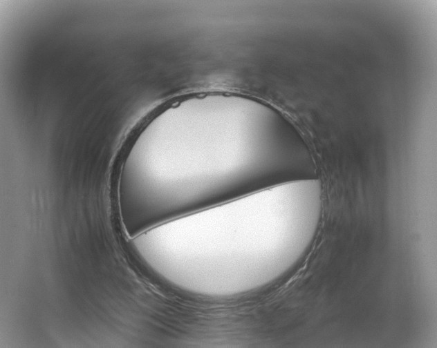 X0000066940200200603240943