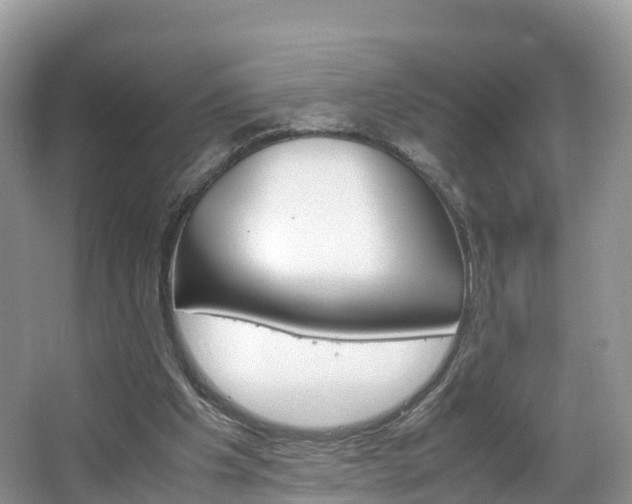 X0000066940201200603240943