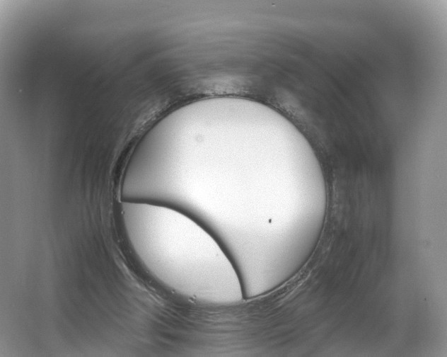 X0000066940202200603240943