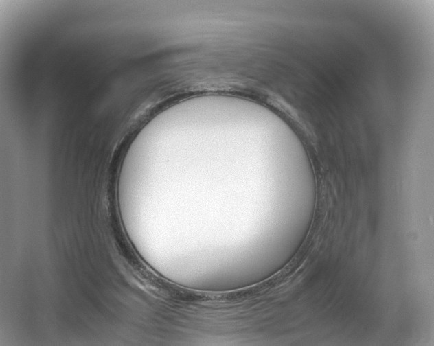 X0000066940203200603240943