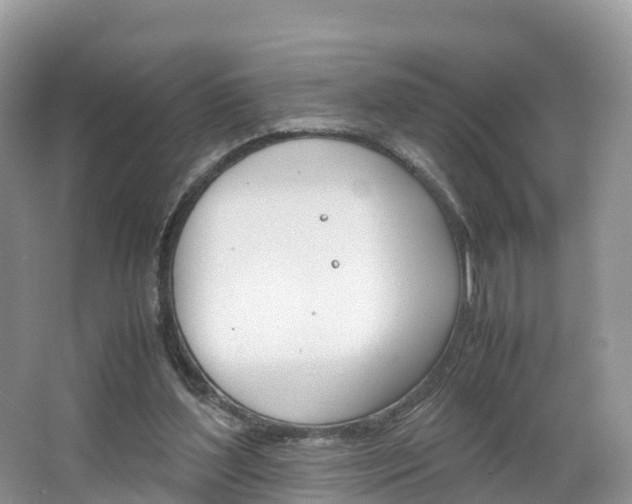 X0000066940204200603240943