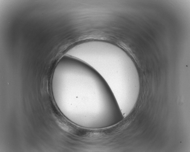 X0000066940205200603240943