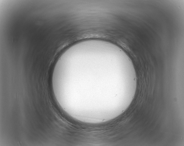 X0000066940207200603240943