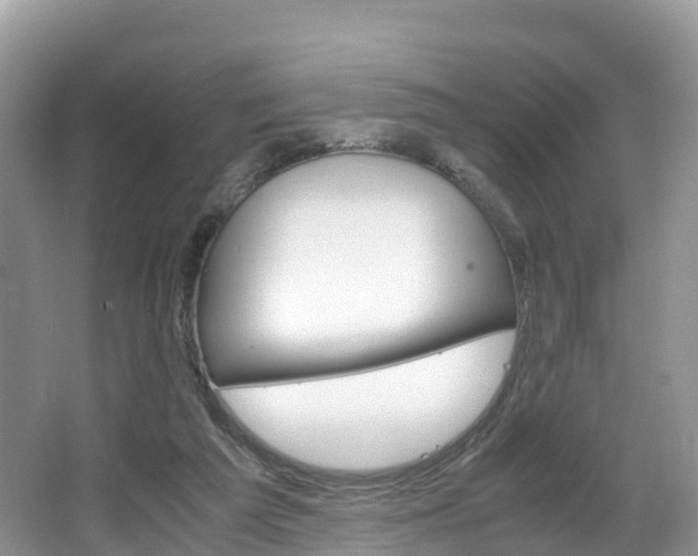 X0000066940209200603240943