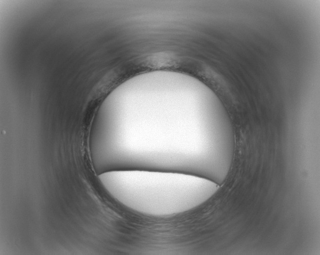 X0000066940210200603240943