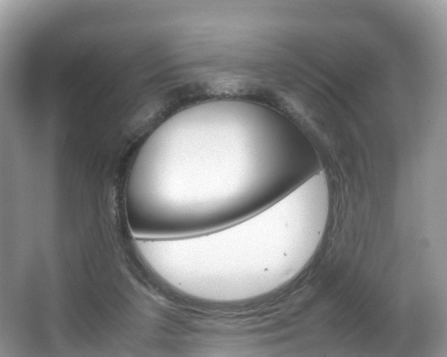 X0000066940211200603240943