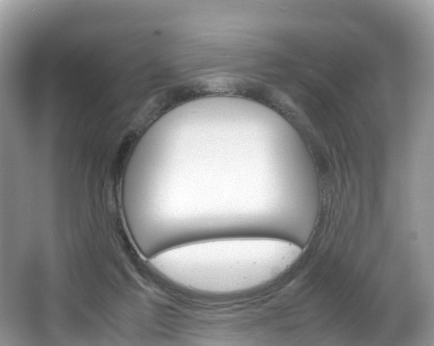 X0000066940213200603240943