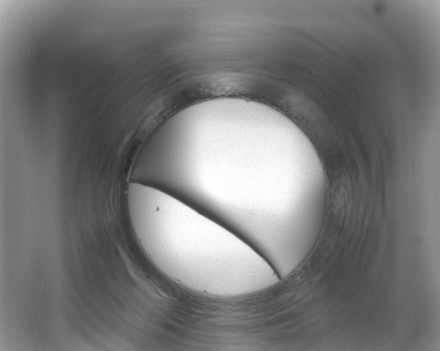 X0000066940214200603240943