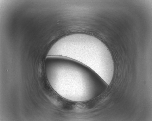 X0000066940215200603240943