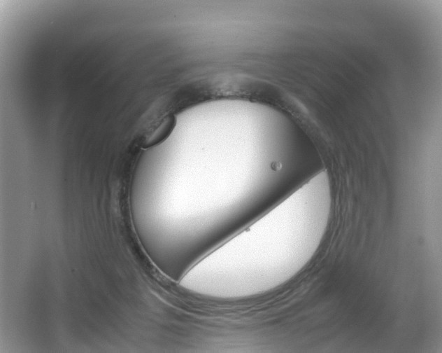 X0000066940217200603240943