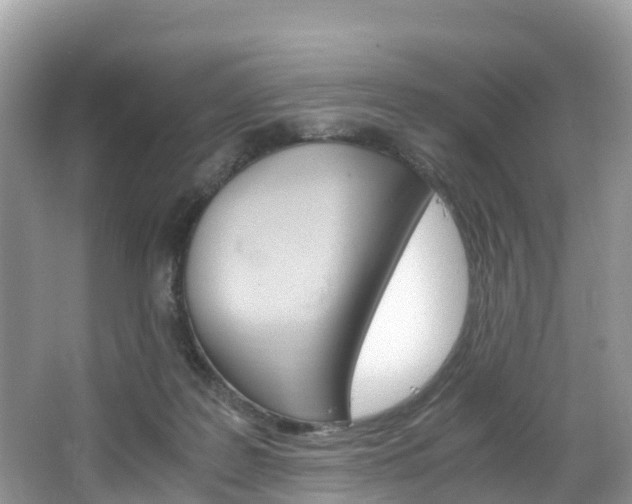 X0000066940219200603240943